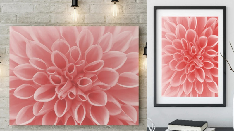 Coral Home Decor