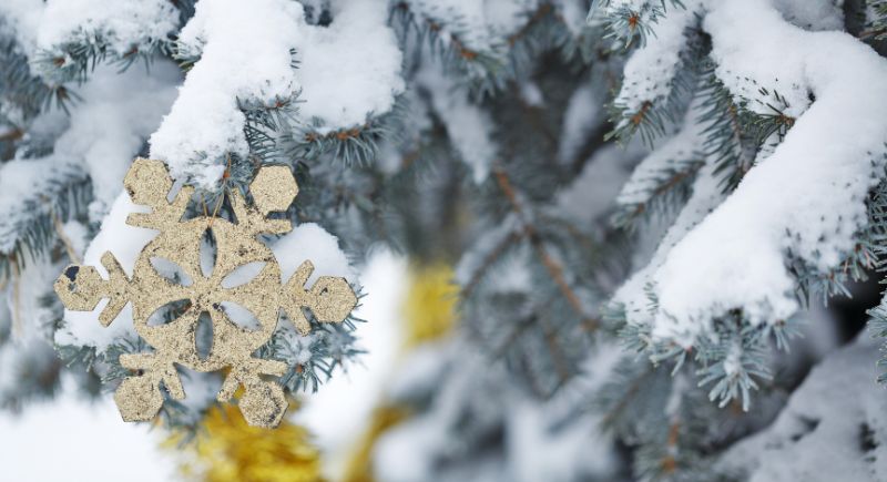 Snowflake Decorations