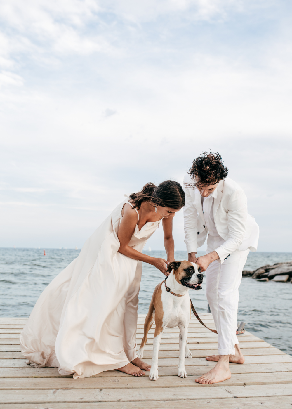 can my dog be a witness at my wedding: pet 6
