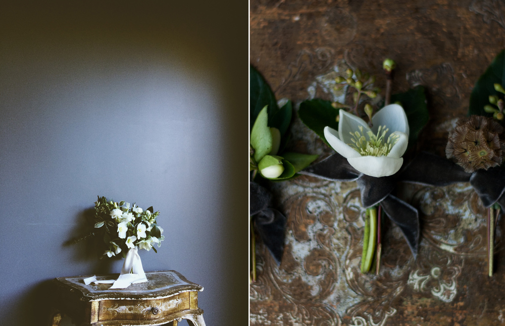  Hellebores 